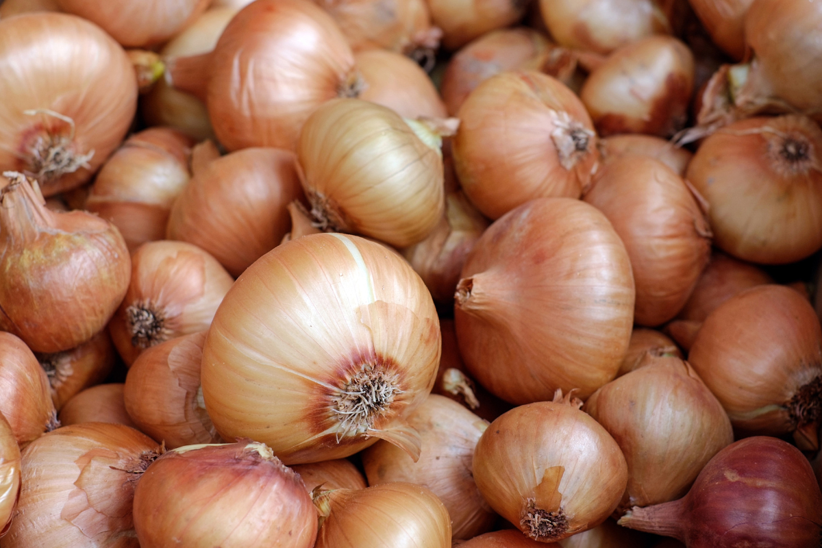 Pink Onion