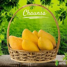 Chaunsa – Rich in flavor and juice