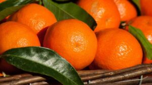 Kinnow (Mandarin Orange)