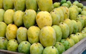 Langra – Soft with a distinct aroma