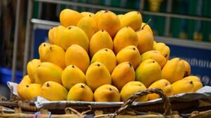Sindhri – Sweet and early-season mango