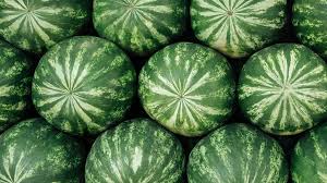 Melons & Watermelons